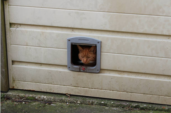 室内猫ドア 穴開け工事不要のお手軽diyをやってみた 材料と手順を紹介 Photo Daynight